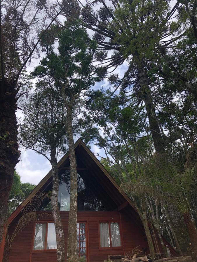 A Cabana Sao Chico Sao Francisco de Paula  Bagian luar foto
