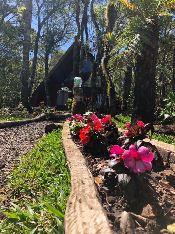 A Cabana Sao Chico Sao Francisco de Paula  Bagian luar foto