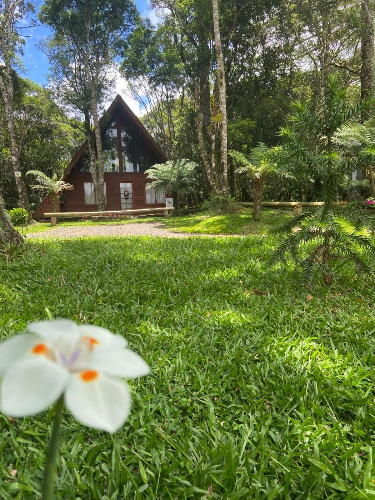A Cabana Sao Chico Sao Francisco de Paula  Bagian luar foto